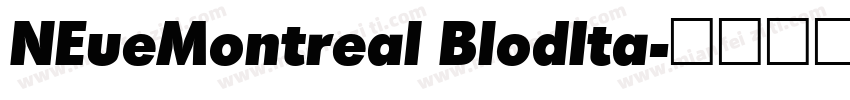 NEueMontreal BlodIta字体转换